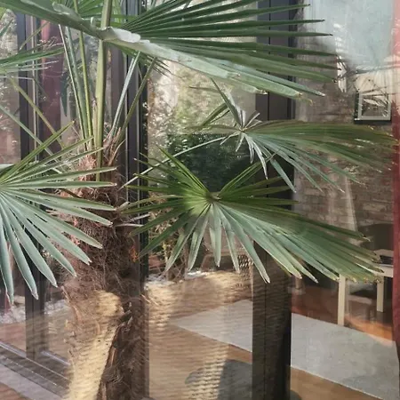 Crystal * كراغوييفاك