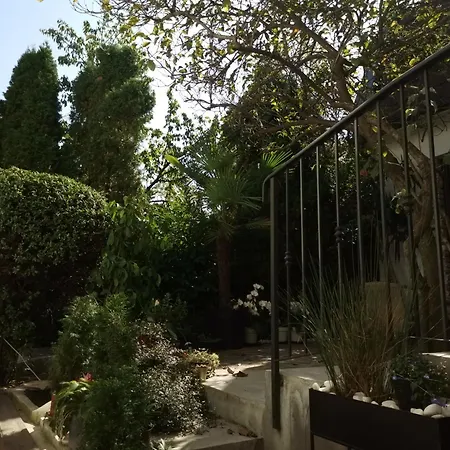 Crystal * كراغوييفاك